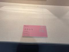 -四川美术馆