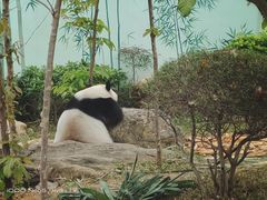 -南宁市动物园