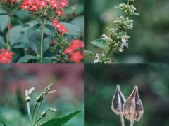 -广州神农草堂中医药博物馆
