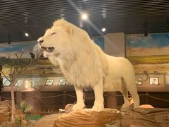 -陕西自然博物馆