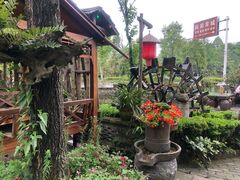 -青城甲(青城山店)