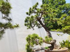 -龙华寺