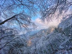 -黄山风景区