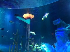 -沈阳海洋探索中心