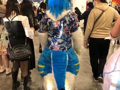 -IJOY漫展xCGF游戏节—国家会议中心