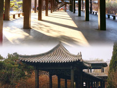 -万泉公园