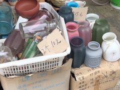 -合肥市裕丰花鸟虫鱼市场-F区
