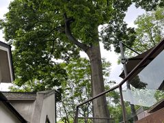 -青竺·青竹茶舍(断桥店)