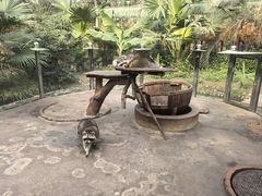 -呀路古热带植物园-恐龙馆