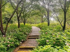 -上海海湾国家森林公园