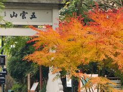 -西湖风景区十里琅珰-五云山