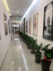 -维纳斯婚纱摄影(友好北路店)