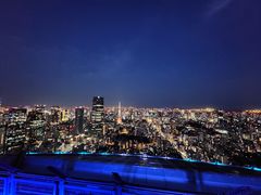 -六本木新城展望台(东京城市景观)