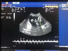 -欧奕国际动物医院