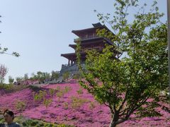 -古柏渡飞黄旅游区