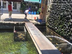 -京北渔家傲