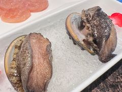 活鲍鱼-皇城老妈·大连海鲜火锅(港湾店)