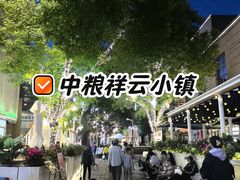 -中粮·祥云小镇