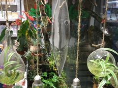-聚香斋(东关街店)