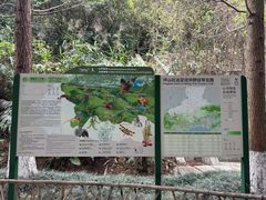 -马峦山郊野公园