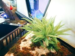 景观位-绿茶餐厅(成都大悦城店)