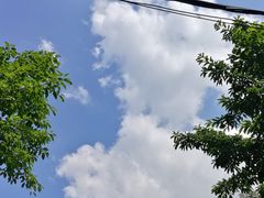 -南山植物园