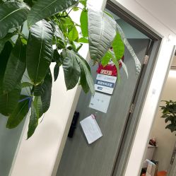 -联合丽格·张菡丽格医疗美容