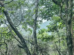 -梧桐山风景名胜区