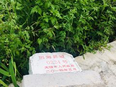 -才村湿地公园