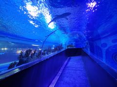 -成都浩海立方海洋公园