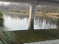 -白鹭湾湿地公园