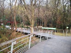 -西湖风景区-江洋畈生态公园