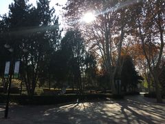 -黄村公园