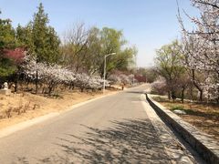 -北京鹫峰国家森林公园