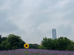 -厦门园林博览苑