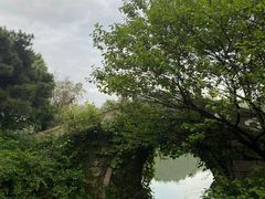 -杭州半山国家森林公园