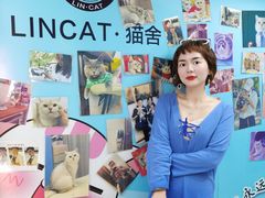 -lincat·猫舍(广州店)