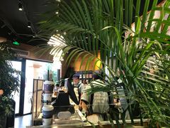 -茶颜悦色(环球奥特莱斯店)