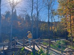 -白水寺森林公园