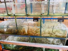 水产区-蓝湾碧波·老字号·疍家非遗海上餐厅