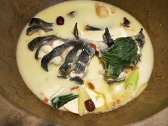 -滇小鱼·云南野生菌火锅(上杭路店)