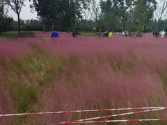 -汉长安城未央宫国家考古遗址公园