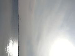 -碧海金沙