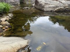 -武汉姚家山旅游景区