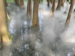 -东湖落雁景区
