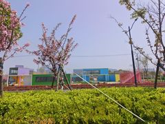 -春花秋色城市公园