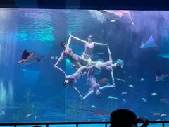 -泉城欧乐堡海洋极地世界