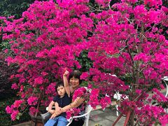 -华杉幼儿园(通州校区)