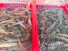 -亚龙湾8号(丁村万人海鲜广场店)