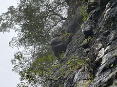 -蝶舞清江·恩施地心谷景区